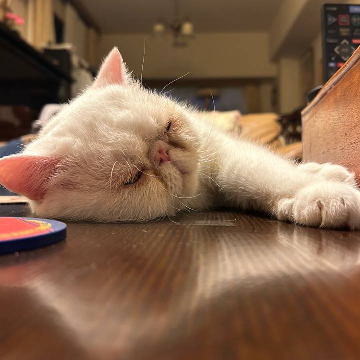 3b436a96 5031 4bac a08b 082d0c8c2d2d 1687912879362