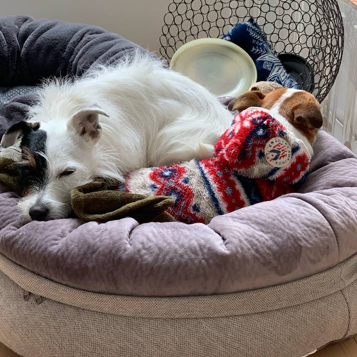 3b43ec89 8339 489f 8a79 461279310234 1606959794019