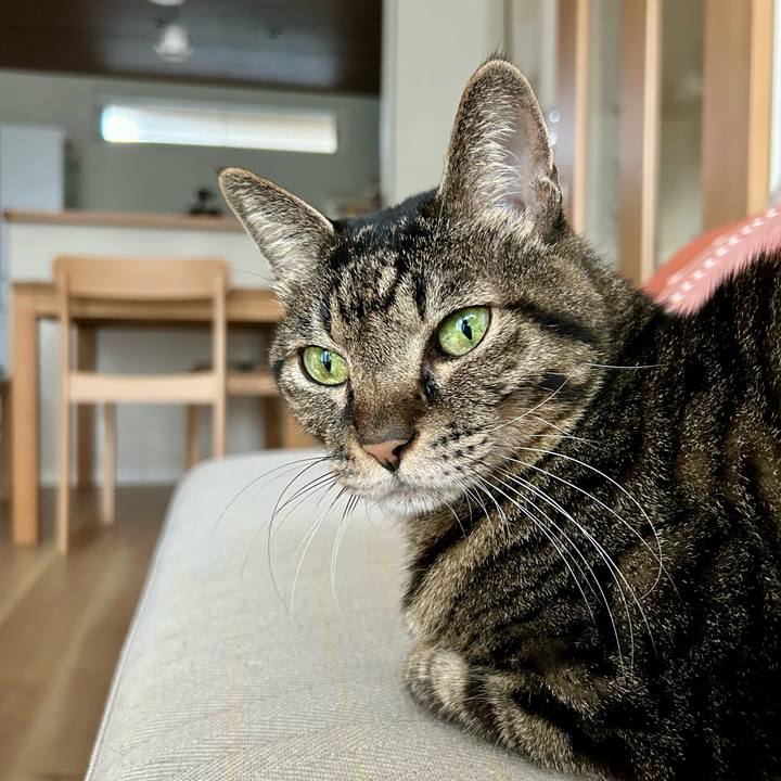 3b43fd76 ab04 4fcd ad29 c85ec85f9152 1764039241199