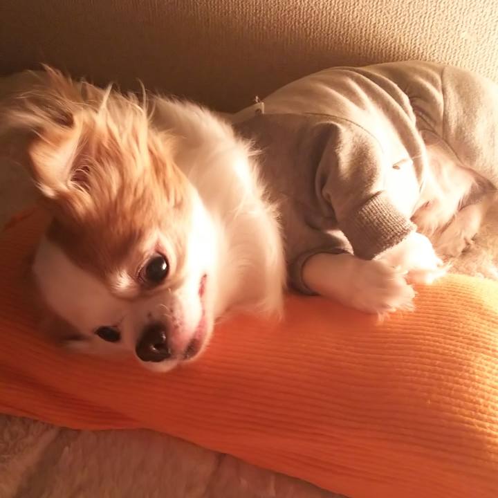 3b4440b2 c20d 431a b15f 2d2a7ad498bf 1581120395691