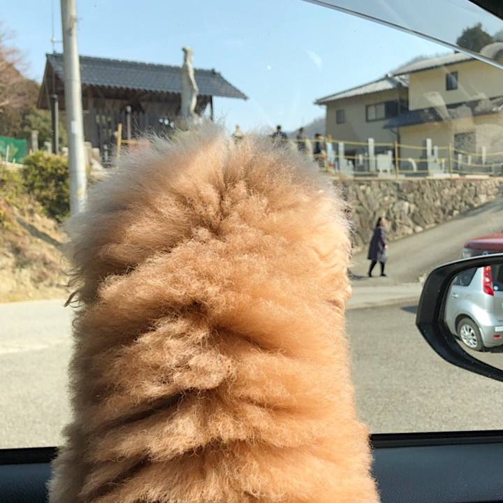 3b445a19 c740 4091 9e09 8aebc1997fc5 1551528741413