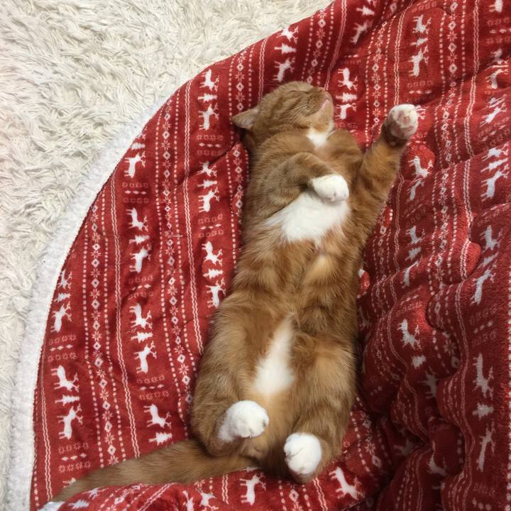 3b446104 3425 4903 8906 0f5137275fa1 1550388063609