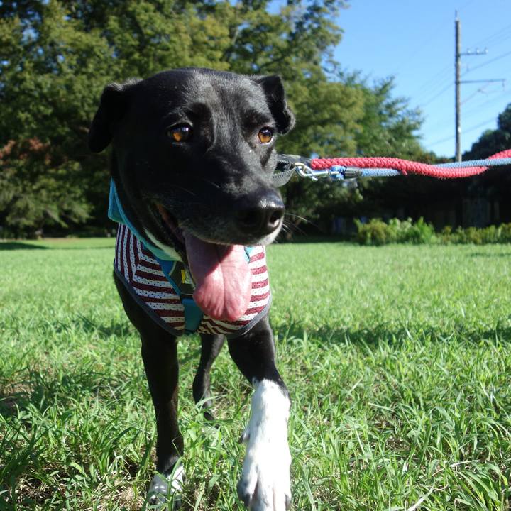 3b44730f f55f 40b0 88aa f7a14410d1f8 1628554449870