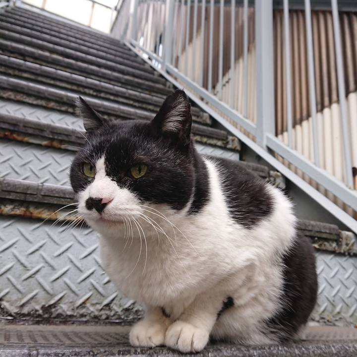 3b45116f f3eb 4d73 ac64 03b800c71661 1674356231090