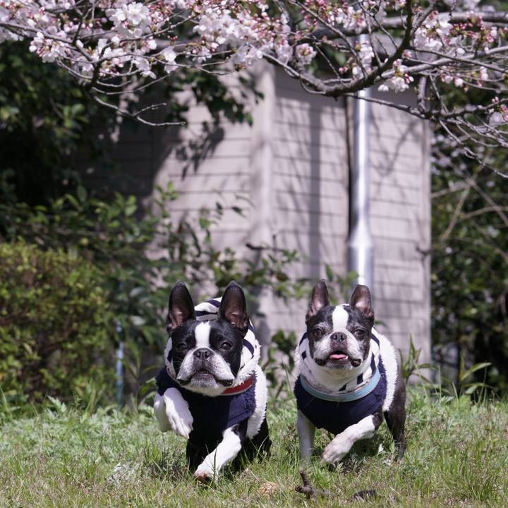 3b45144b e3f2 4826 8618 8d1a5065958d 1554014464173