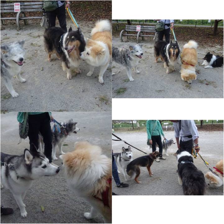 3b452a4a 2b74 499c 8949 ff6adfcb7d60 1601732584002