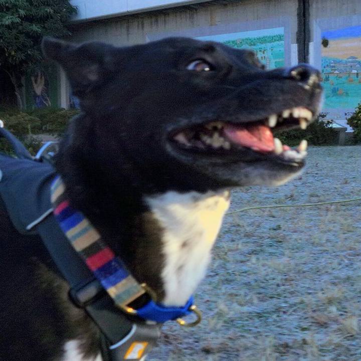 3b45301e 7884 451f 8c92 88f87fc57e02 1638233189623