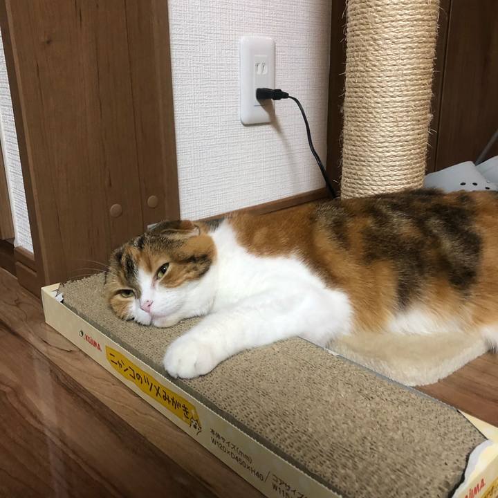 3b45339f 1c77 4b8b 89c0 1c40ca1ec339 1595686900743