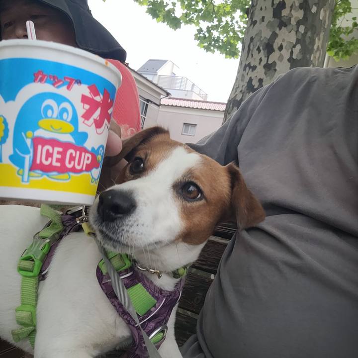 3b45493f 5e56 4598 ae57 7af66ffe068b 1714118750521