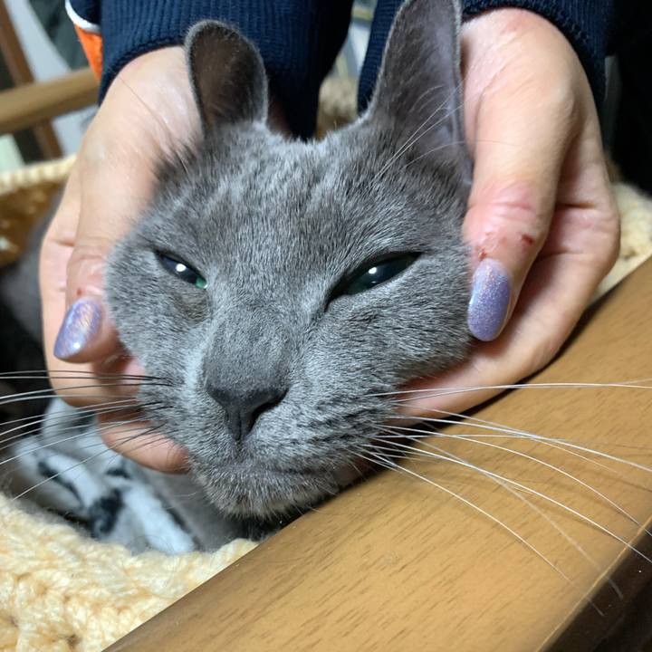 3b4573af a274 44e4 b93f 9988e3ca13f3 1642773770216