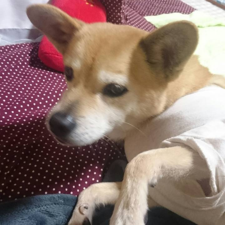 3b457e15 21de 4272 938a fa50e1f3762a 1554486228131