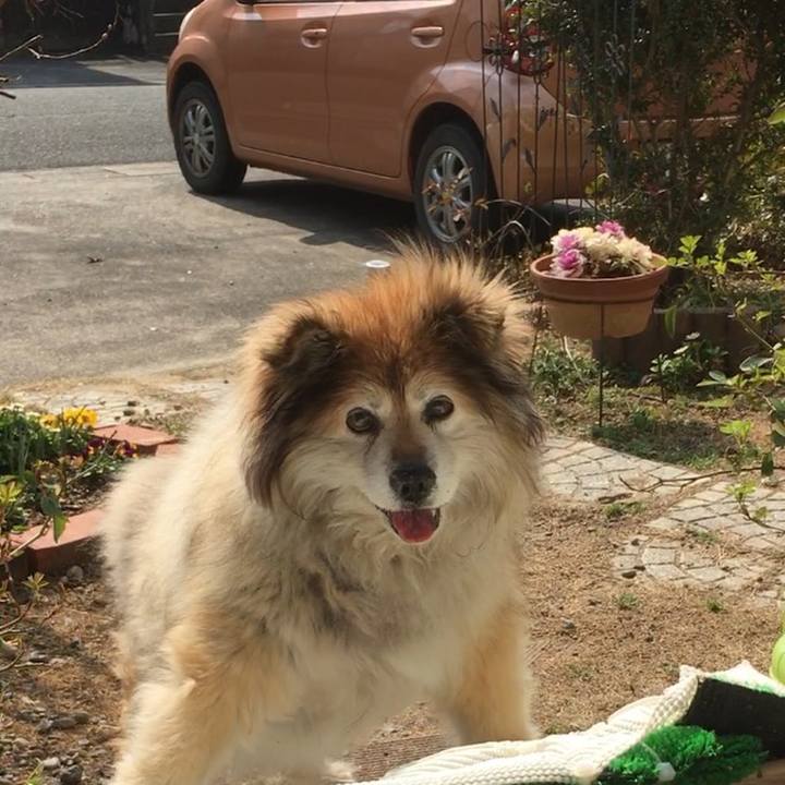 3b458c4c e8aa 4f59 b571 9489416f62dc 1552860678324