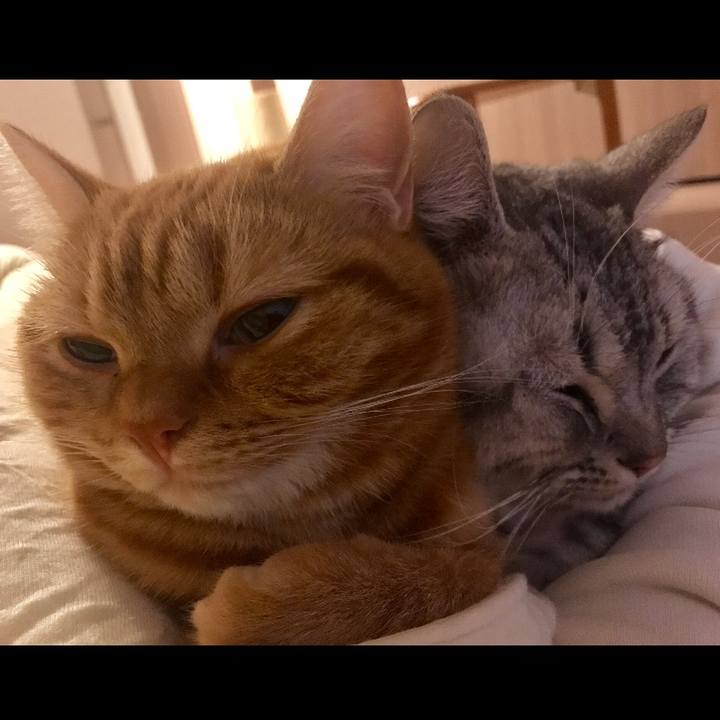 3b45c37f 25b4 4443 86ea 9cbcc8a69d61 1509660995994