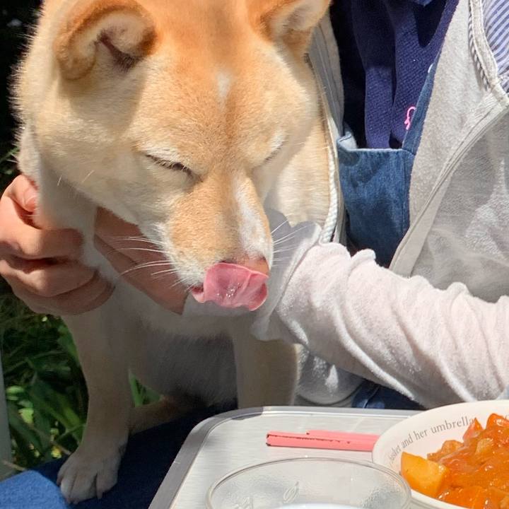 3b462f34 147c 4f99 96b4 8df912ed30e4 1651841740021