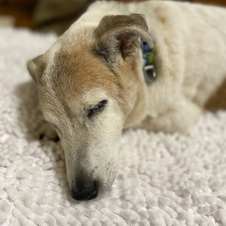 3b466485 5cf9 4c80 ab49 909a816b5686 1688292727777