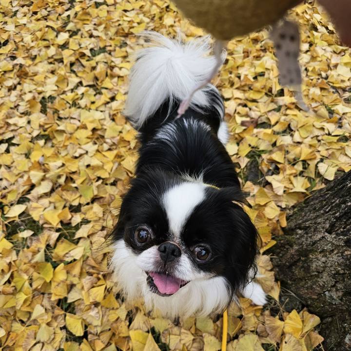 3b466b45 e83d 41b3 849a ba70c9a34a15 1699528881080