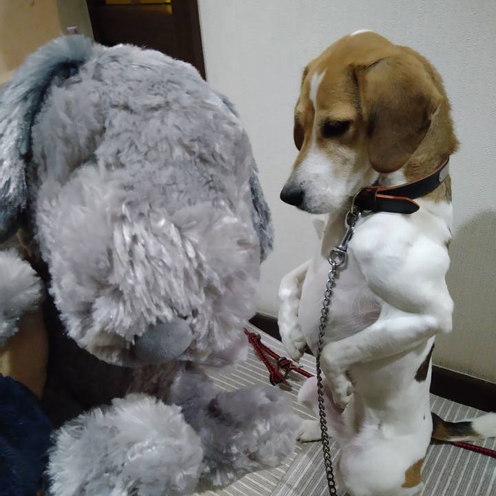 3b46a6d5 ec41 40b8 8e0d d4299dbaa5c7 1639910215398