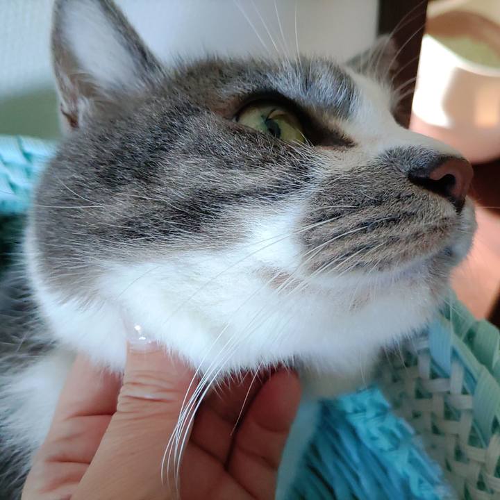 3b470e5c eb50 4be5 805c fd504d8bcab4 1722390306218