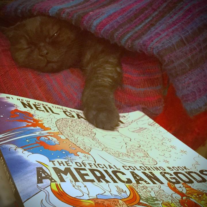 3b4714b4 b485 41a7 a623 3dba36ce2dbb 1508952628120