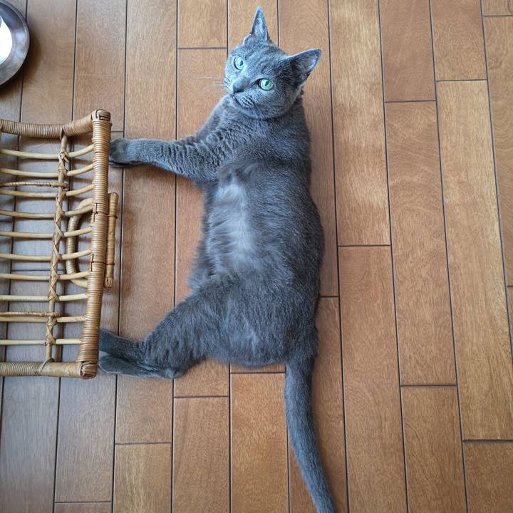 3b473a63 f916 434f be7b 6833b4114def 1597357241565