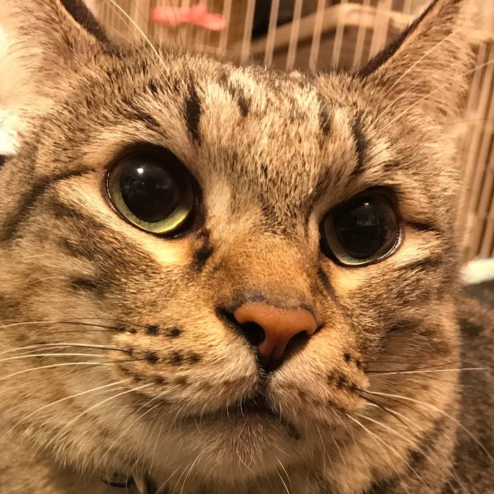 3b4749e4 7b1e 4834 b6df 62c3b3ef9103 1544250125321