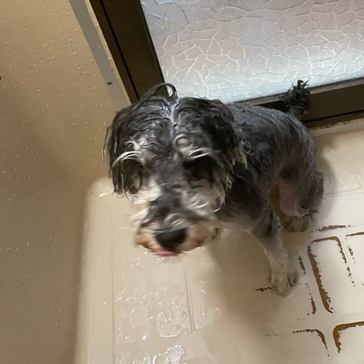 3b4757ce 73ee 44db 9266 69051e7320e7 1602311666777