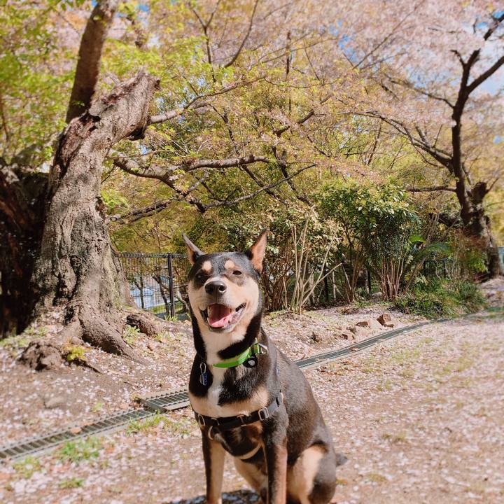 3b476606 ab0a 43c4 8117 592093d322c2 1555294508078