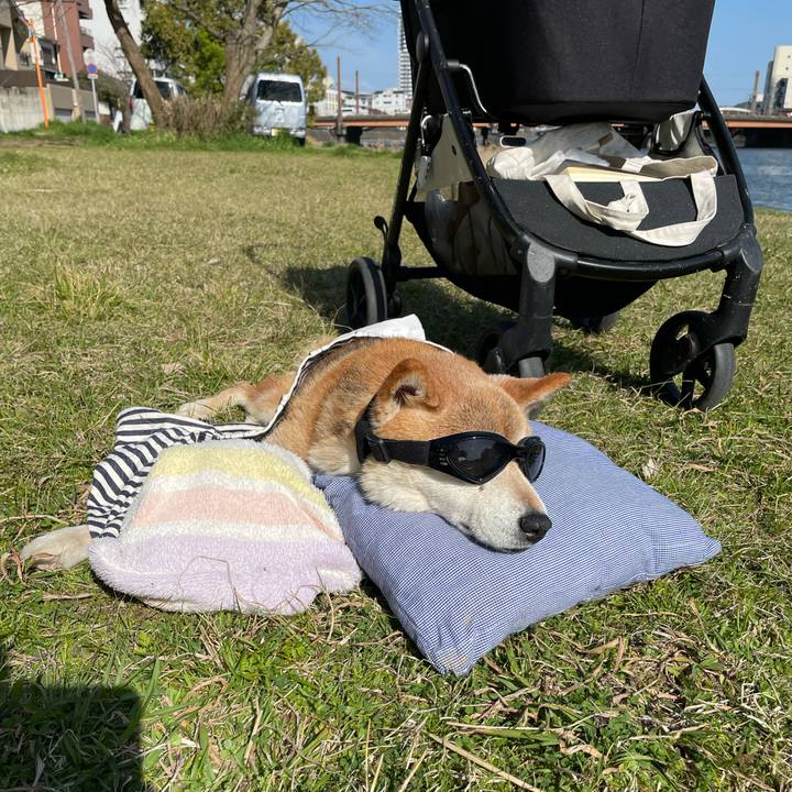 3b476b5a 7dd4 4a03 bf9e f0a32045bcbd 1679221625612