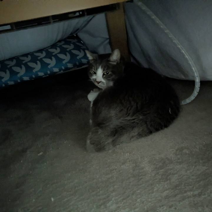 3b476dd9 451c 4e0b 8403 4a65e2d3cdb8 1770860044089