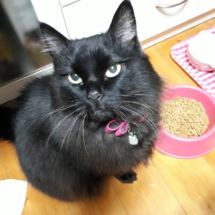 3b478c2f 359f 4fbb 93db 94c33561b721 1519673962633