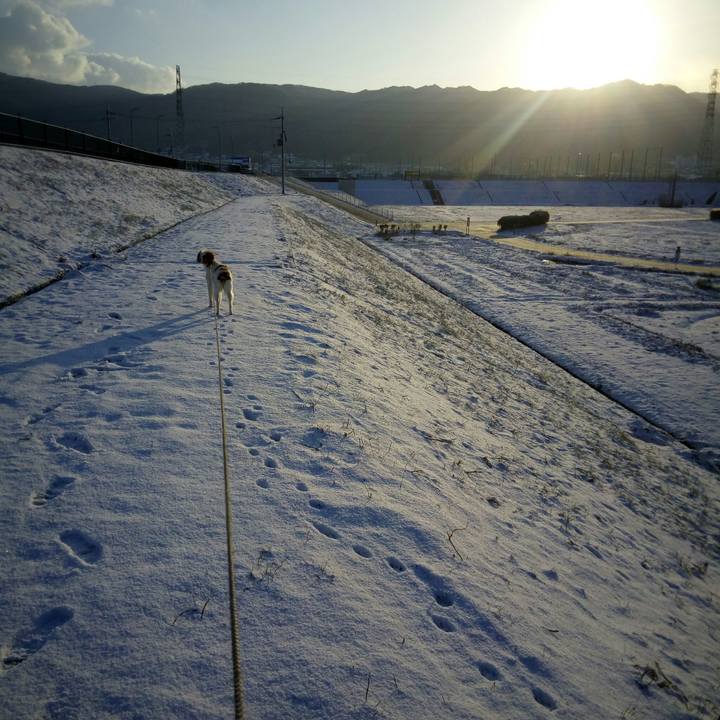 3b47dd3c d280 494e 8807 f7ce2db406a6 1518493571060