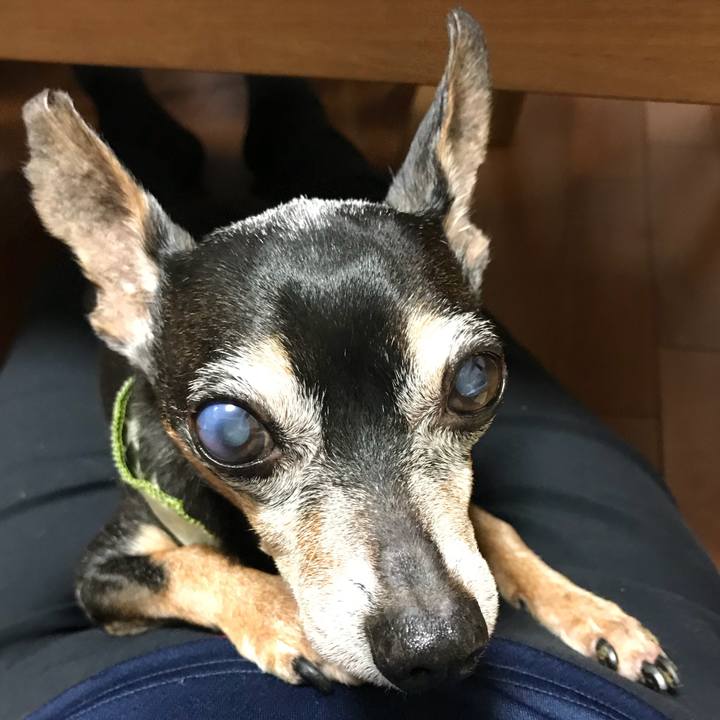 3b47e19b a9e6 493c adc8 2a05b0a4df3a 1538396372982