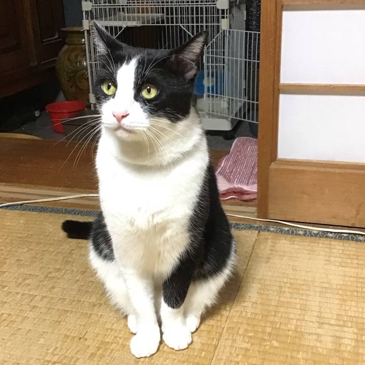 3b47ea1a 40d6 4c49 b3e9 535a2b0a5d74 1726920546462