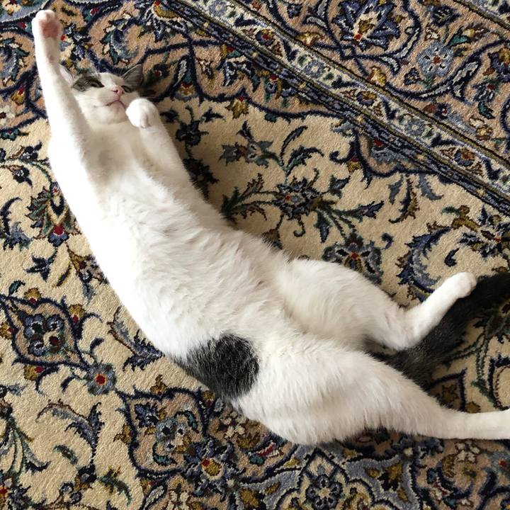 3b47efa5 16d8 492a af61 9d9e0b90776f 1629841381074