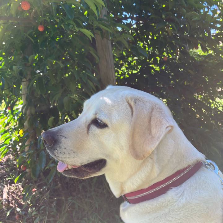 3b47fc20 f1d6 4b02 bcee 0c866980b390 1664328229632