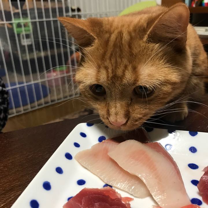 3b480af6 fc2a 4e3b b116 85605087c178 1519651022837