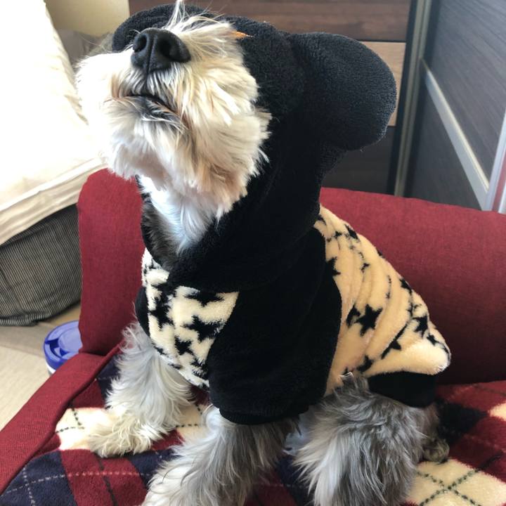 3b480f5a f002 4bee a13c 7827d1d79b7f 1575773300102