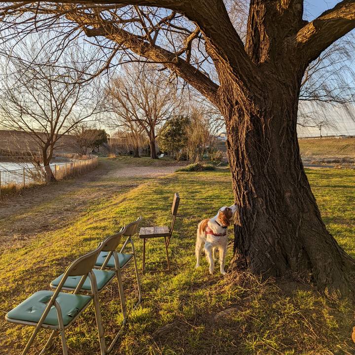 3b4882ba 82bf 4a62 9b05 5ccf9c4e4b17 1642411381388