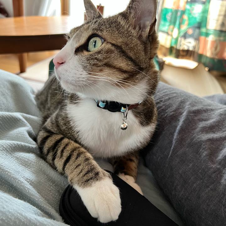 3b488ec4 2619 4ed2 9a05 9473c1347cc5 1732338415684