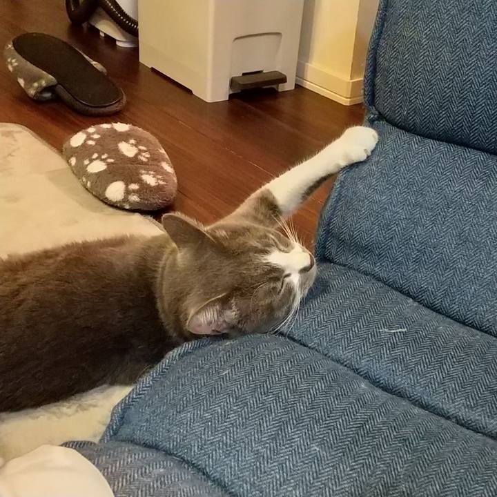 3b489067 6005 478c 8d09 00f9d6cd321f 1643546948230