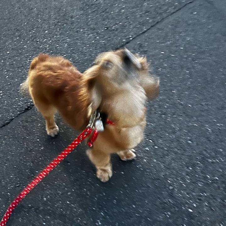 3b489411 9ae5 400b acc7 ecec7a7d329b 1662984741580