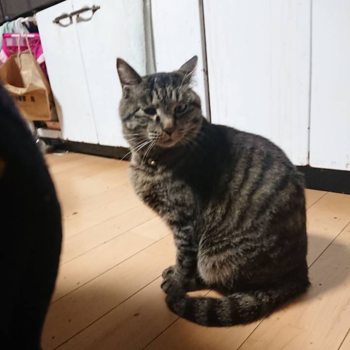 3b48ba08 fb3a 448e 9563 a54ed1973769 1653599080746