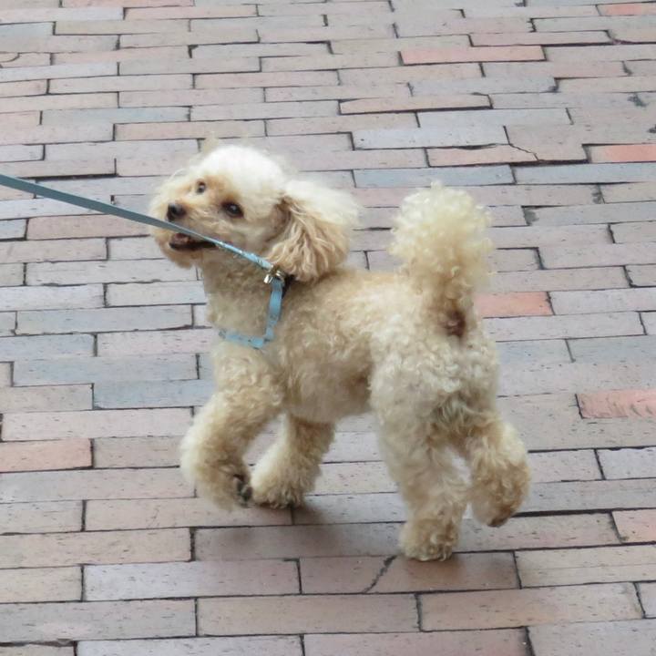 3b48ee21 f63f 4566 971e fd70cae0a6e0 1664588315372