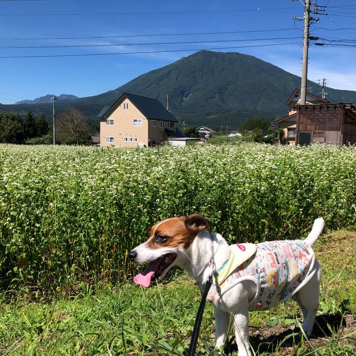 3b48ef74 1777 4fd3 a5fd 2263ab3f6d04 1567826052833