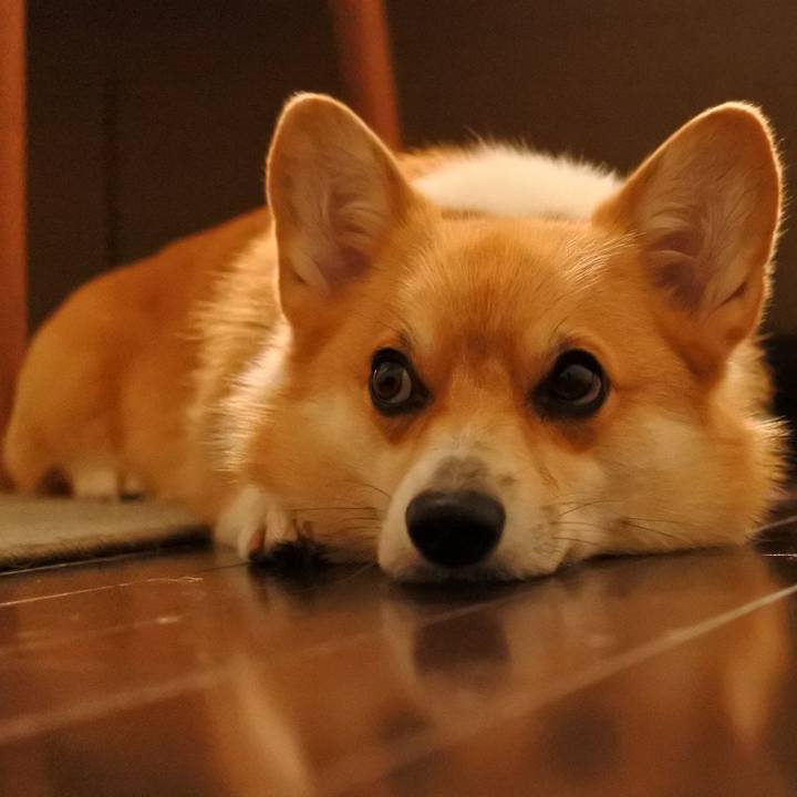 3b49029b e6d1 4fcf 9cde b5adcd1b4f51 1540615740863