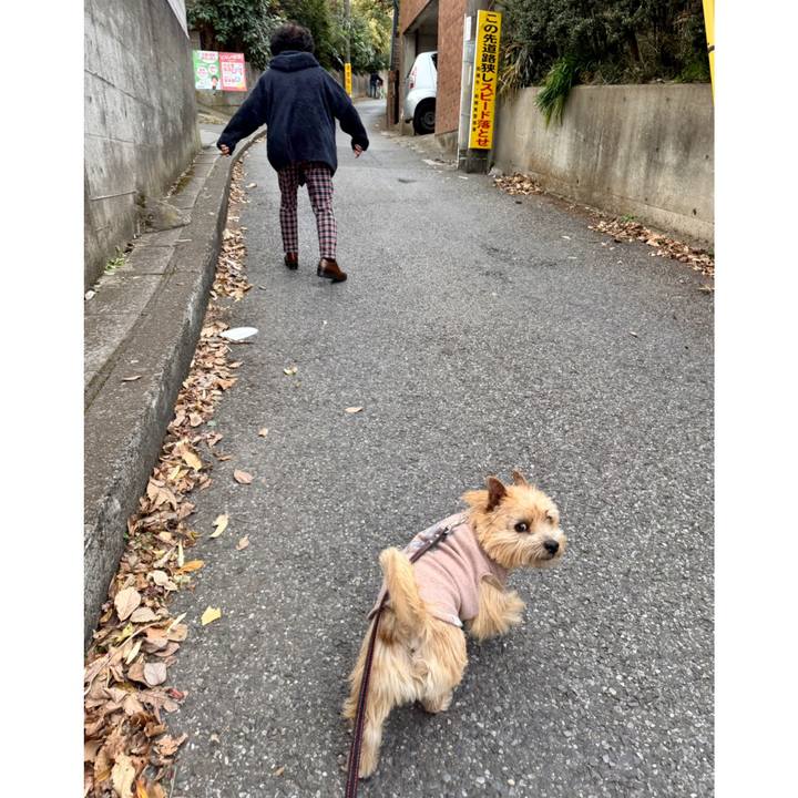 3b4907b6 9bc6 4489 bd79 4a28a9842c60 1768146817670