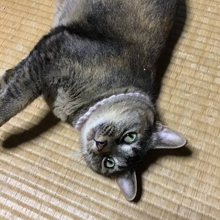 3b49149e 87b4 4722 b17d a8b1352cb3b3 1658409985688