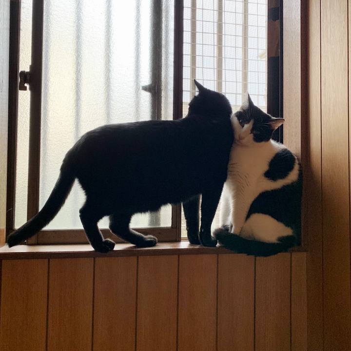 3b4947d1 3b9d 4965 9760 bb89e916d1af 1549160122291