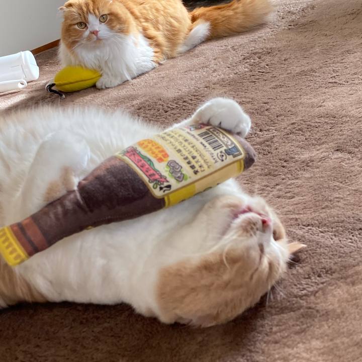 3b497810 4785 4a6b bd92 6f18c5d9c76e 1602935918539