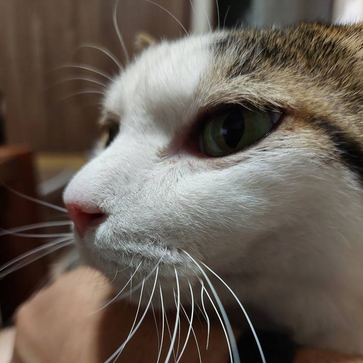 3b4994e2 7702 467c 9c35 a7c4c37b1756 1766185709838